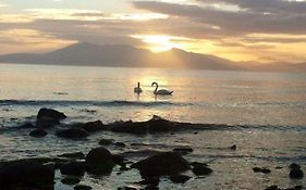 Tarbert